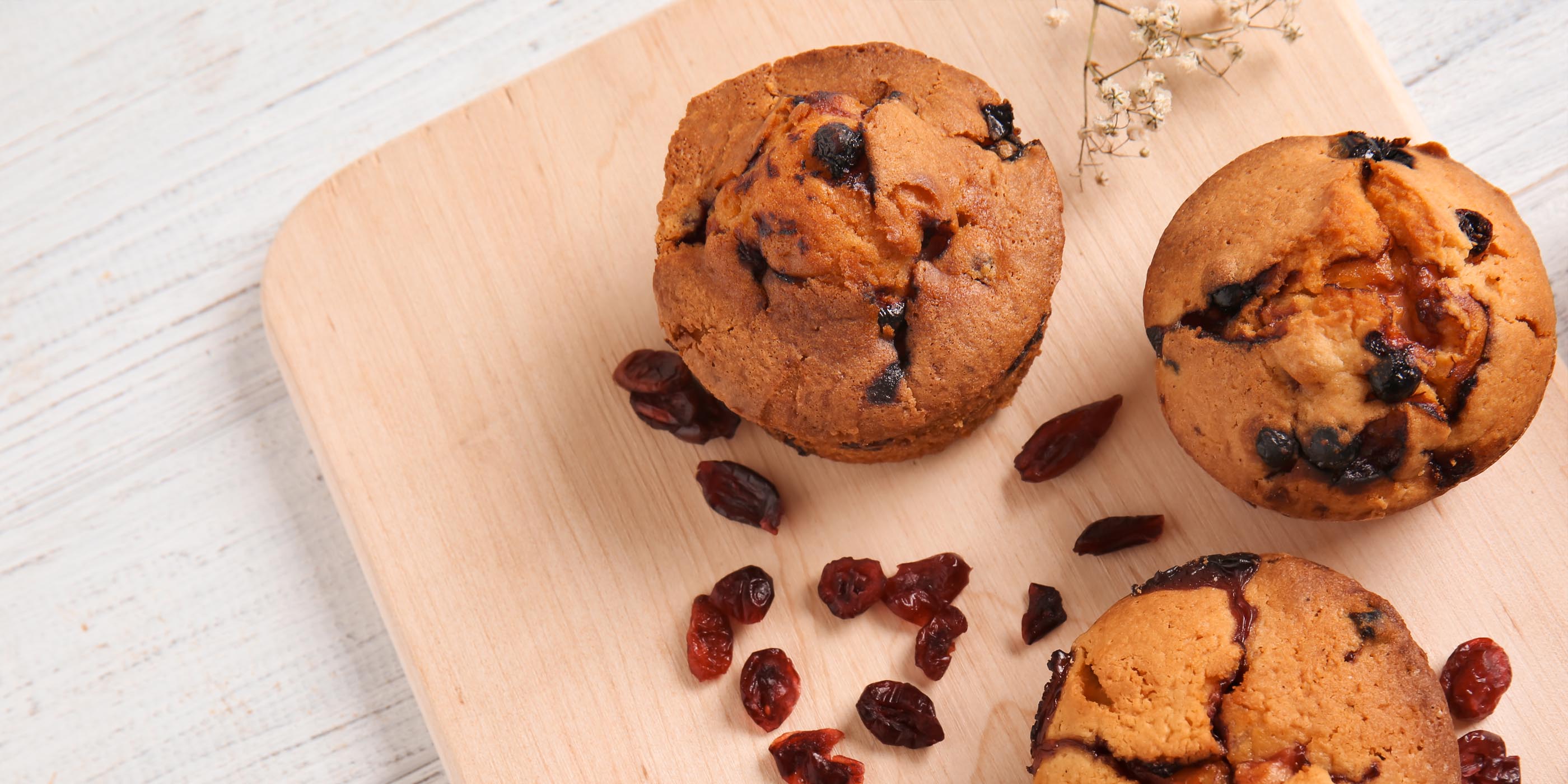 Apple Cranberry Muffins