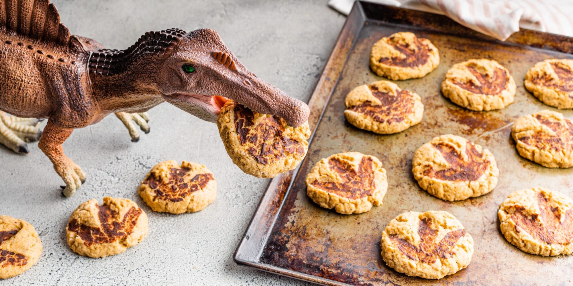 Dino Fossil Cookies